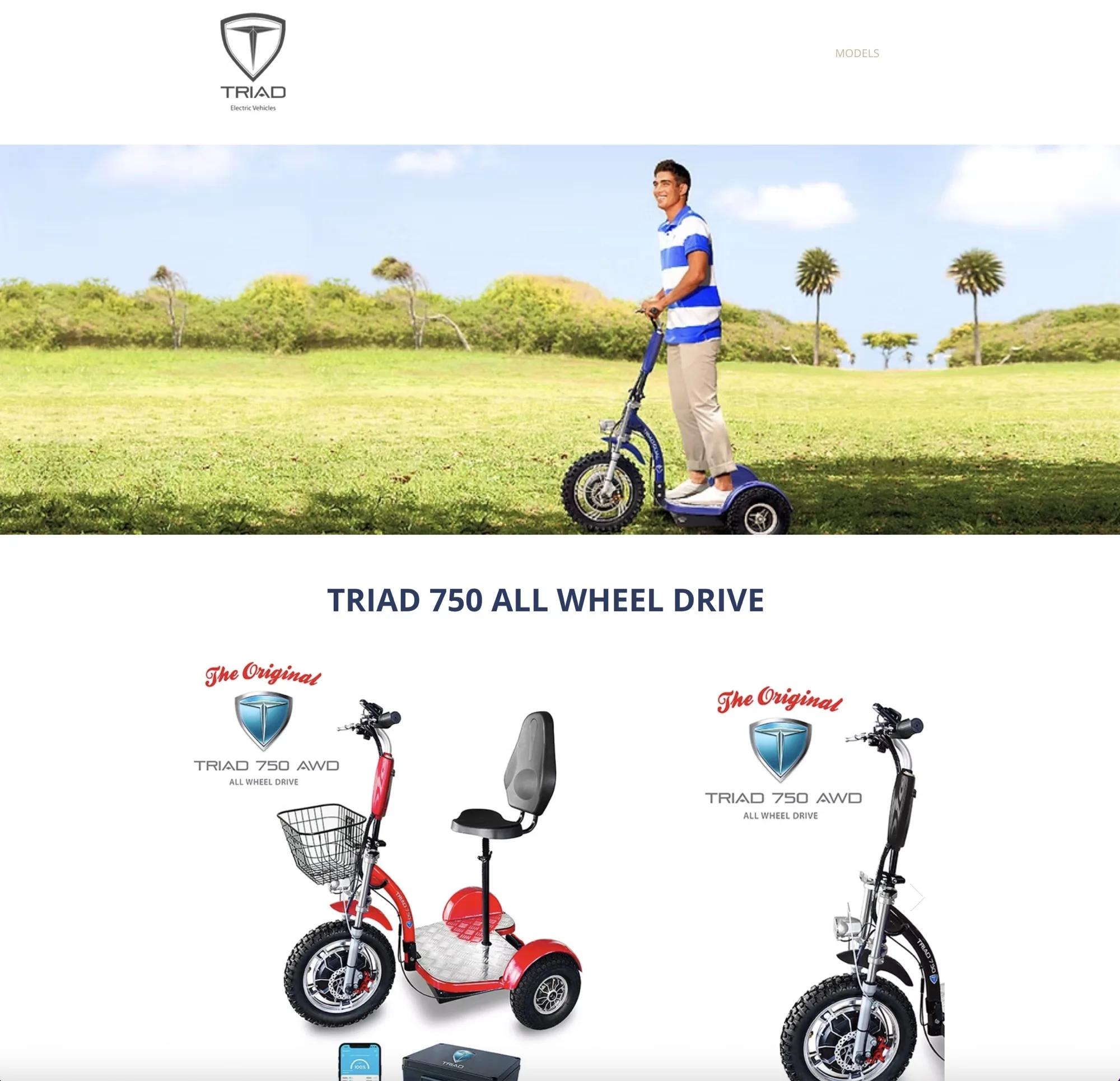 Product merchandising page