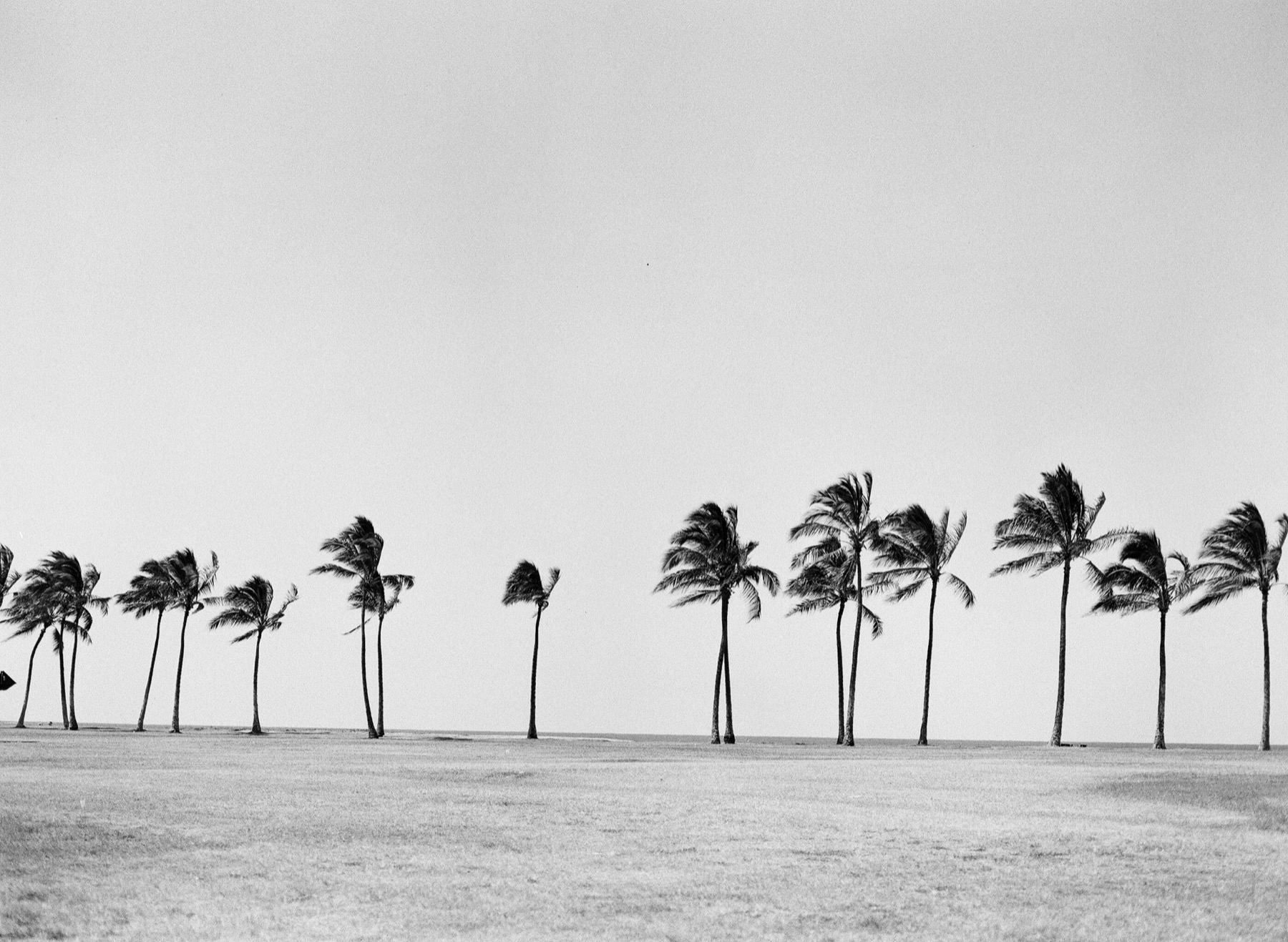 Film frame